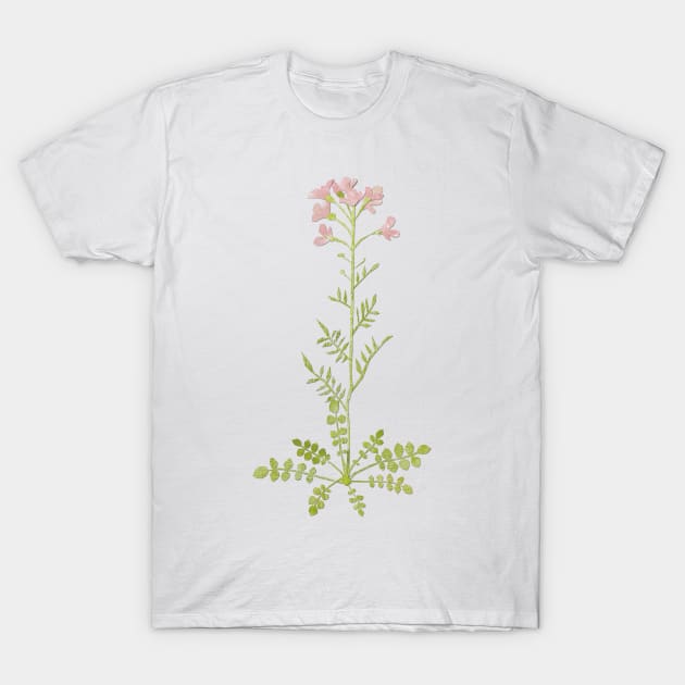 Cuckoo flower / lady's smock T-Shirt by Babban Gaelg